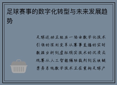 足球赛事的数字化转型与未来发展趋势