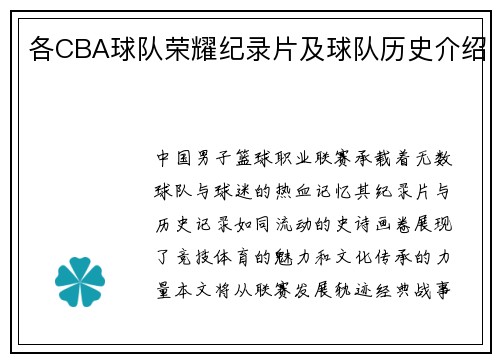 各CBA球队荣耀纪录片及球队历史介绍