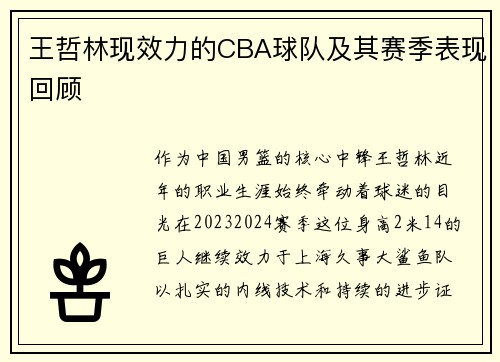 王哲林现效力的CBA球队及其赛季表现回顾
